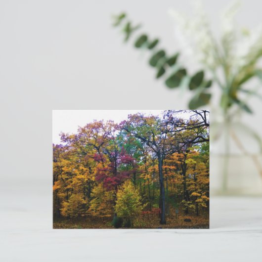 Dunkler Herbstwald Postkarte (Stehend Vorderseite)