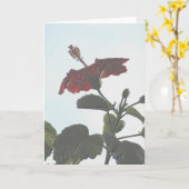 Dunkler Hibiskus mit Embossed Karte (Gelbe Blume)