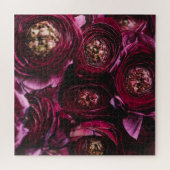 Dunkler Lila Ranunculus, blühend Nah-up. Puzzle (Horizontal)