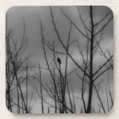 Dunkler Rabe Getränkeuntersetzer (Vorderseite)