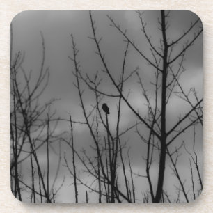 Dunkler Rabe Getränkeuntersetzer