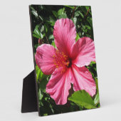 Dunkler rosa Hibiskus Fotoplatte (Seite)