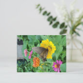 Dunkler Schmetterling 1 Postkarte (Stehend Vorderseite)