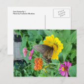 Dunkler Schmetterling 1 Postkarte (Vorne/Hinten)