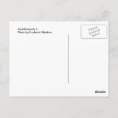 Dunkler Schmetterling 1 Postkarte (Rückseite)