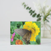 Dunkler Schmetterling 2 Postkarte (Stehend Vorderseite)