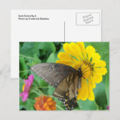 Dunkler Schmetterling 2 Postkarte (Vorne/Hinten)