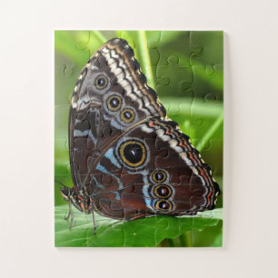 Dunkler Schmetterling Sitzen auf Blätter in der Na Puzzle