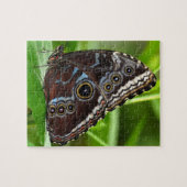 Dunkler Schmetterling sitzt auf Blätter in der Nat Puzzle (Horizontal)