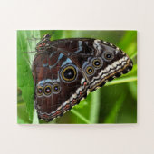 Dunkler Schmetterling sitzt auf Blätter in der Nat Puzzle (Horizontal)