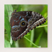 Dunkler Schmetterling sitzt auf Blätter in der Nat Puzzle (Horizontal)