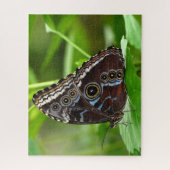 Dunkler Schmetterling sitzt auf der Linke Puzzle (Vertikal)