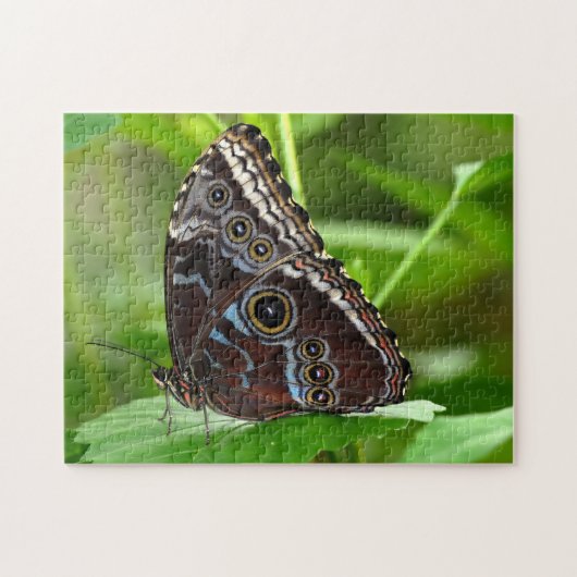 Dunkler Schmetterling sitzt auf der Linke Puzzle (Horizontal)