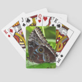Dunkler Schmetterling sitzt auf der Linke Spielkarten (Rückseite)