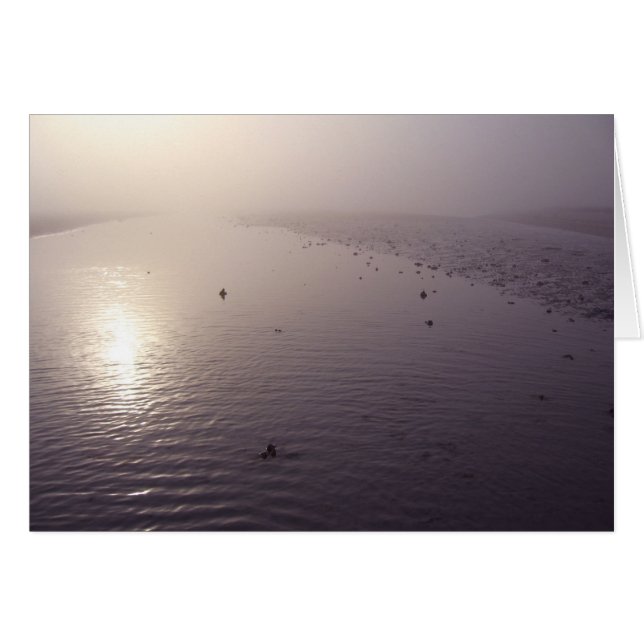 Dunkler Sonnenuntergang (Vorderseite (Horizontal))