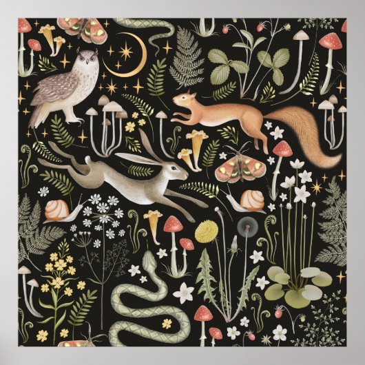 Dunkler Wald Poster (Vorne)