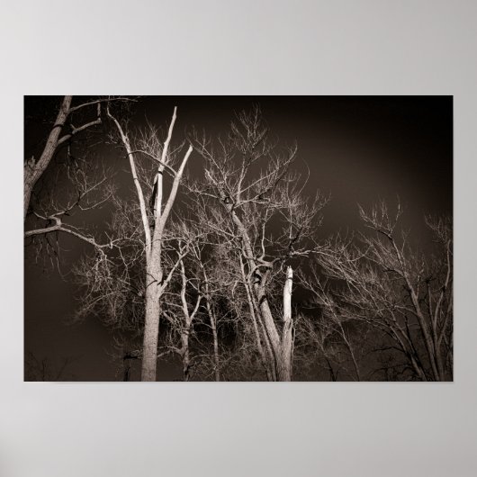 Dunkler Wald – Unheimliche Schwarz-Weiß-Baum-Kunst Poster (Vorne)