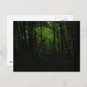 Dunkler Wald verlassen Postkarte (Vorne/Hinten)