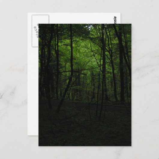 Dunkler Wald verlassen Postkarte (Vorne/Hinten)