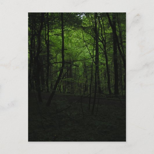 Dunkler Wald verlassen Postkarte (Vorderseite)