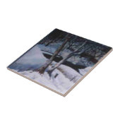 Dunkler Wintertag auf schneebedecktem Elk River Fliese (Seite)