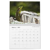 Dunkles Anoles 2016 - eine Anole Kalender (Feb 2027)
