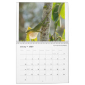 Dunkles Anoles 2016 - eine Anole Kalender (Jan 2027)