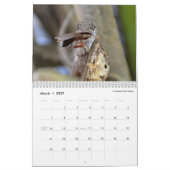 Dunkles Anoles 2016 - eine Anole Kalender (Mär 2027)
