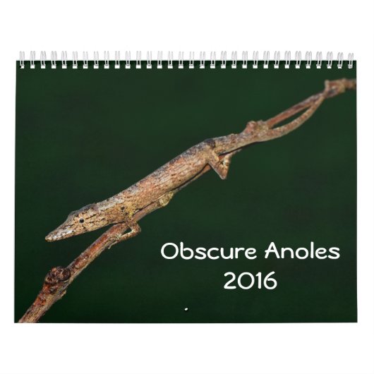 Dunkles Anoles 2016 - eine Anole Kalender (Titelbild)