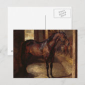 Dunkles Bay Pferd im Stall Postkarte (Vorne/Hinten)