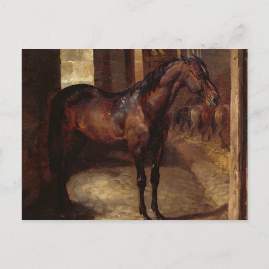 Dunkles Bay Pferd im Stall Postkarte (Vorderseite)