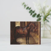 Dunkles Bay Pferd im Stall Postkarte (Stehend Vorderseite)