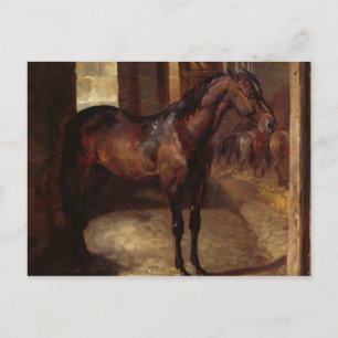 Dunkles Bay Pferd im Stall Postkarte