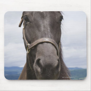 Dunkles Brown-Pferd Mousepad