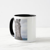 Dunkles Brown-Pferd Tasse (Vorderseite Links)