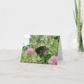 Dunkles Frack Fütternd auf Klee Karte (Rückseite)