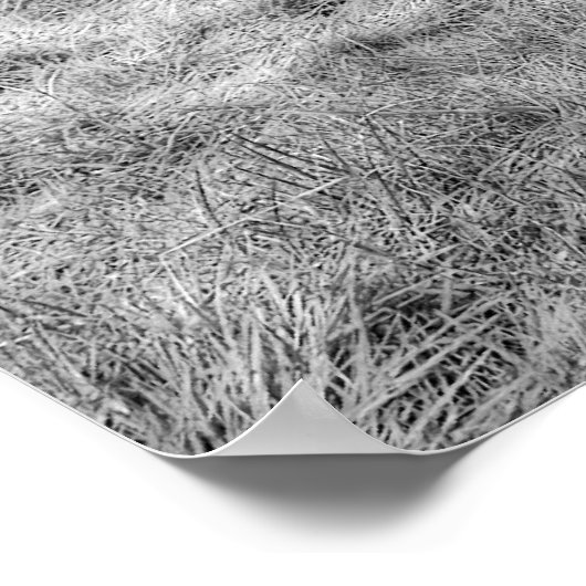 Dunkles Horse Poster (Ecke)