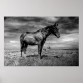 Dunkles Horse Poster (Vorne)