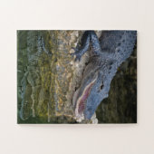 Dunkles Krokodil mit klarer Reflektion im Wasser Puzzle (Horizontal)