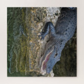 Dunkles Krokodil mit klarer Reflektion im Wasser Puzzle (Horizontal)