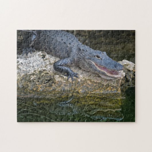 Dunkles Krokodil mit klarer Reflektion im Wasser Puzzle (Horizontal)