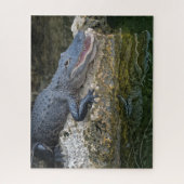 Dunkles Krokodil mit klarer Reflektion im Wasser Puzzle (Vertikal)