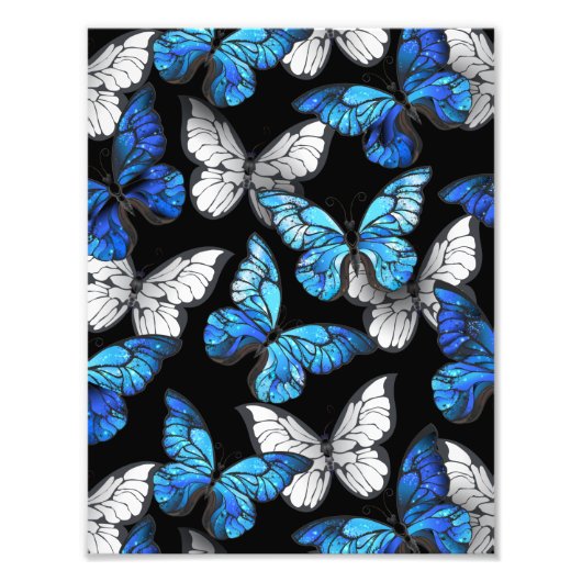 Dunkles Nahtloses Muster mit blauen Schmetterlinge Fotodruck (Vorne)