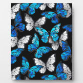 Dunkles Nahtloses Muster mit blauen Schmetterlinge Fotoplatte (Vorderseite)