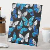 Dunkles Nahtloses Muster mit blauen Schmetterlinge Sockelschild (In Situ)