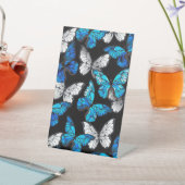 Dunkles Nahtloses Muster mit blauen Schmetterlinge Sockelschild (In SItu)