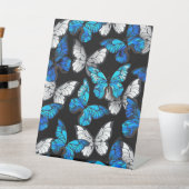 Dunkles Nahtloses Muster mit blauen Schmetterlinge Sockelschild (In SItu)