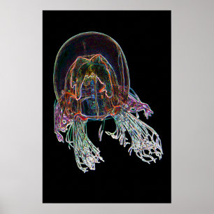 Dunkles Neon-Quallen-Poster Poster