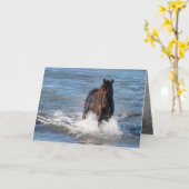 Dunkles Pferd läuft in der Wassergrüßkarte Karte (Gelbe Blume)