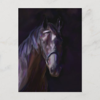 Dunkles Pferd Postkarte